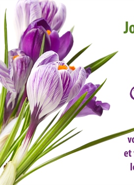 24 avril - Journée mondiale des adjoints administratifs,...