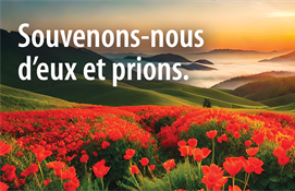 11 novembre - Jour du Souvenir