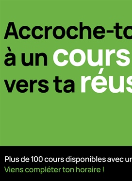 Accroche-toi à un cours en ligne vers ta réussite !