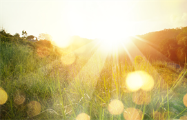 Prions pour un membre de notre famille, Alexandre Henry