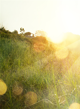 Prions pour un membre de notre famille, Alexandre Henry