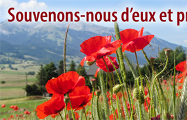11 novembre - Jour du Souvenir